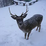 Na Gorce Apartmán *